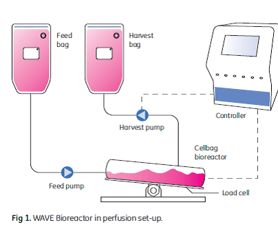 disposable bioreactor bags